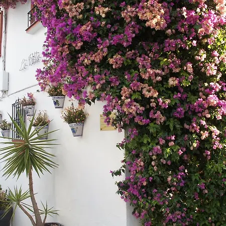 Apartment Elviria